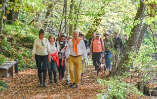 Philippe et Mathilde de Belgique à Libramont  pour la 8ème marche de la reine