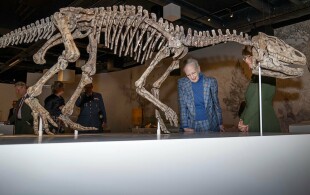 Margrethe de Danemark inaugure la Steyns Klint Experience
