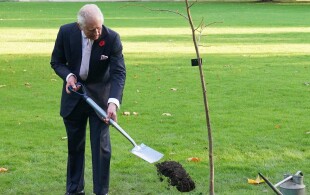 Le roi Charles III plante un tilleul à Buckingham en marge de la COP27