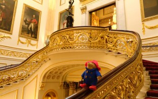 Ours Paddington à Buckingham