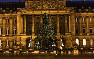 Sapin de Noël 2022 au Palais royal de Bruxelles venant de la province de Liège