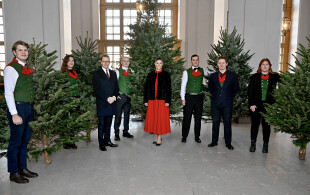 Victoria et Daniel de Suède reçoivent des arbres de Noël  au Palais royal