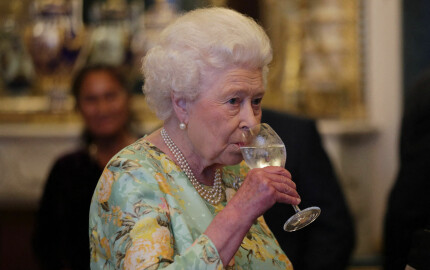 La reine Élisabeth lors d'une réception à Buckingham en juillet 2017.