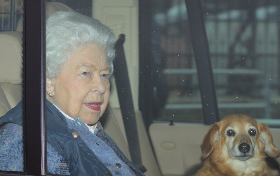 La reine Élisabeth II avec son chien Vulcan en mars 2020. © Chown Aaron/ABACA