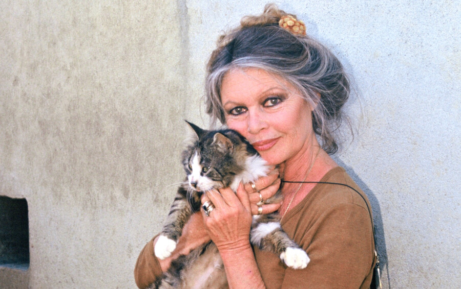 Brigitte Bardot en 1991