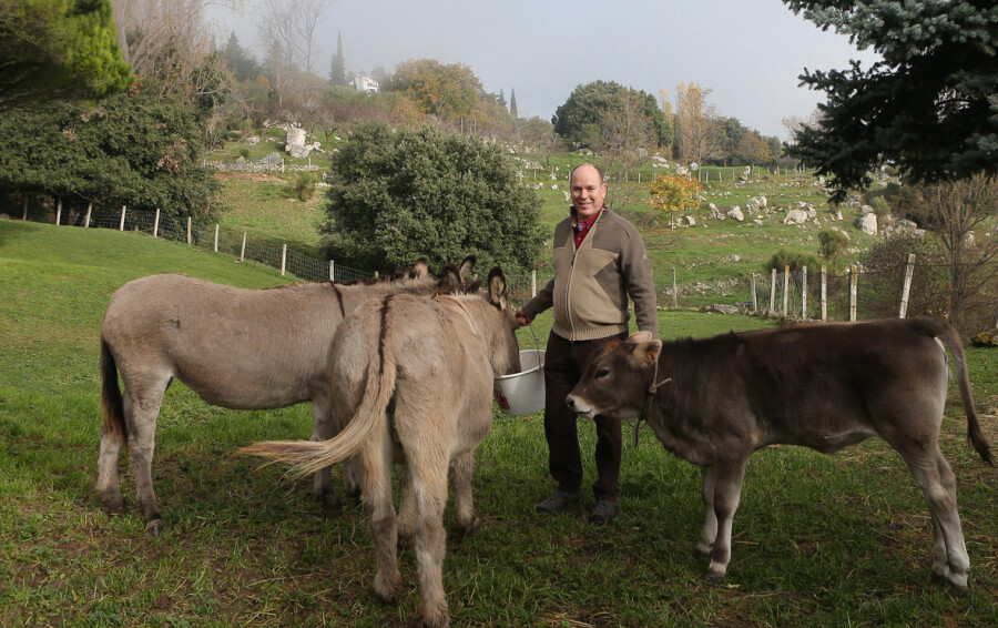 Albert de Monaco à Rocagel pour Point de Vue en novembre 2015
