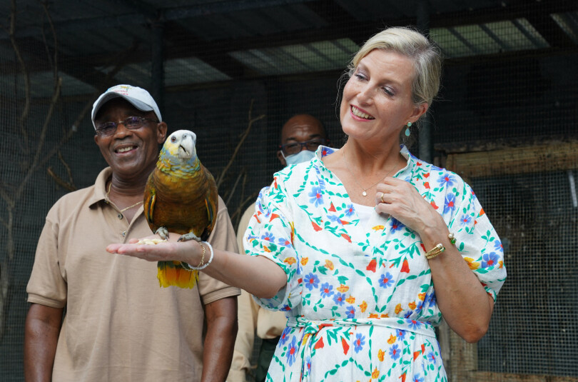 La comtesse de Wessex avec un Amazone de Saint-Vincent.