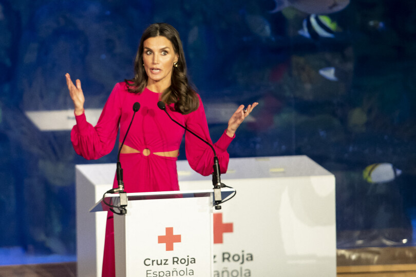 Letizia d'Espagne à Valence pour la Journée mondiale de la Croix Rouge et du Croissant Rouge