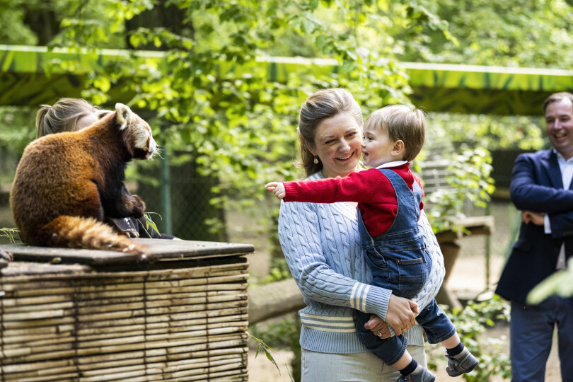 Dans les bras de sa maman, Charles de Luxembourg,  deuxième dans l’ordre de succession au trône, découvre les pandas roux du Parc merveilleux de Bettembourg.