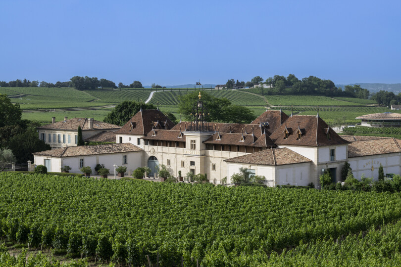 Chez Stéphanie de Boüard-Rivoal à Saint-Émilion.