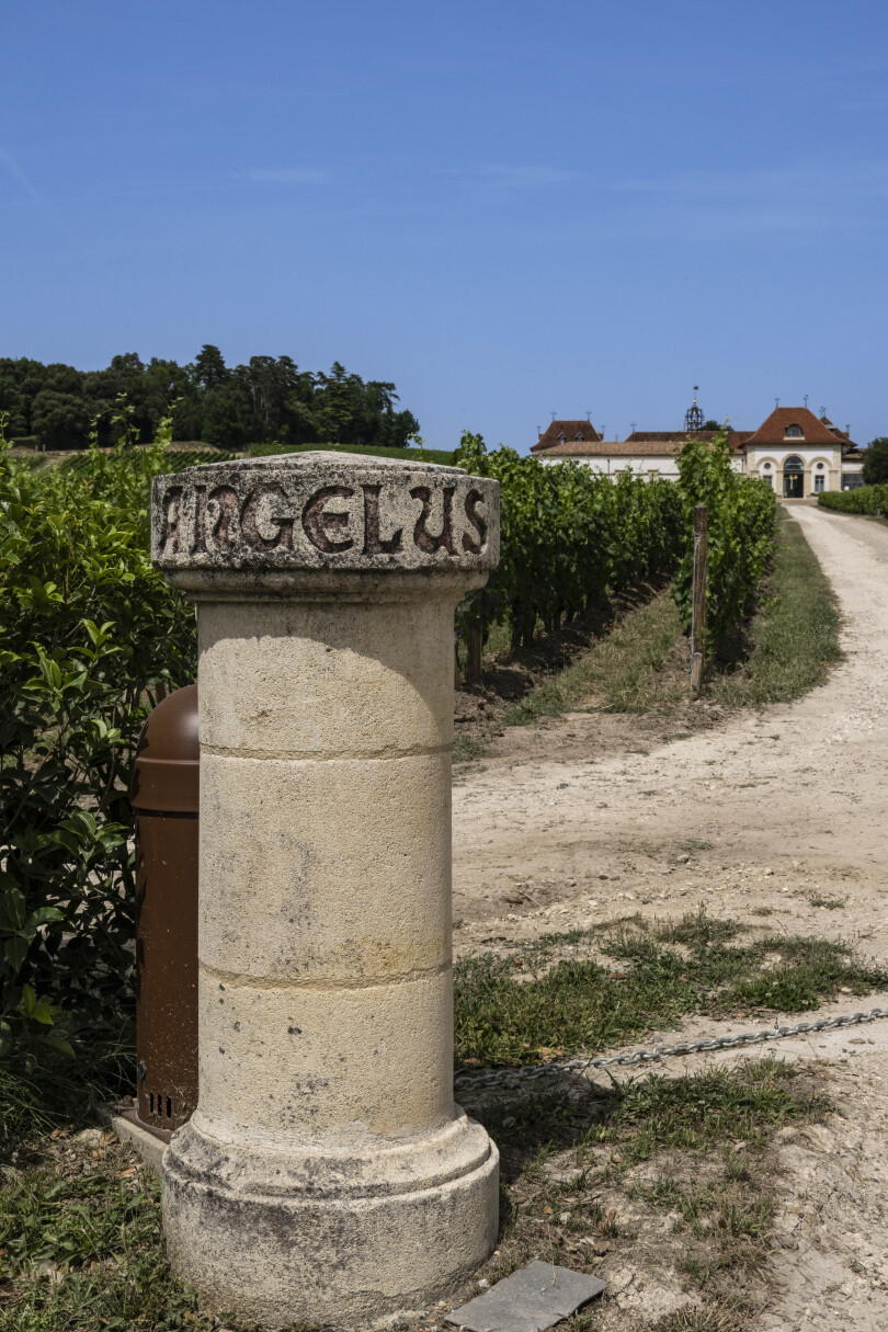 Chez Stéphanie de Boüard-Rivoal à Saint-Émilion.