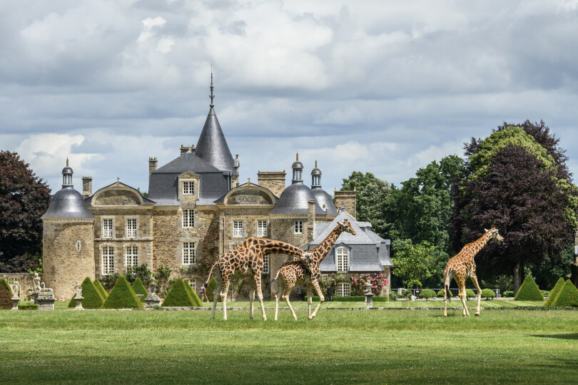 Le château de la Bourbansais à Pleugueneuc, en Ille-et-Vilaine.