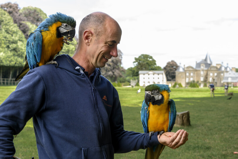 Le zoo de la Bourbansais à Pleugueneuc, en Ille-et-Vilaine.