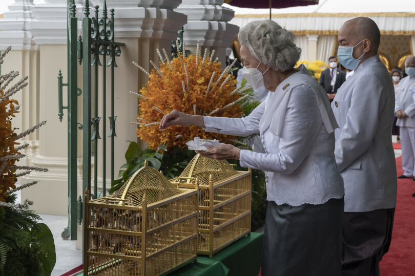 Pendant la cérémonie, le roi Sihamoni et la reine mère libèrent des oiseaux pour attirer les bons augures.