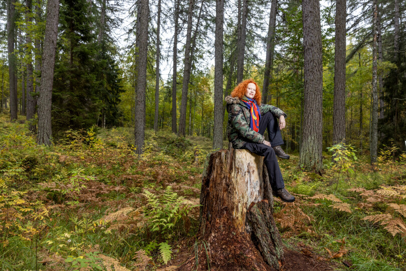 Chez Saimi Hoyer à Punkaharju, en Finlande.