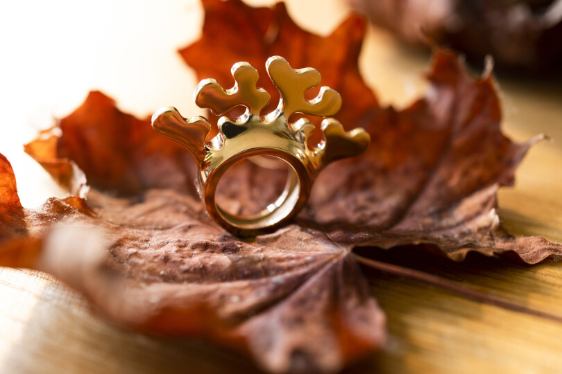 Lors du confinement, Walid Akkad a réfléchi à la création de bagues inspirées du monde animal.