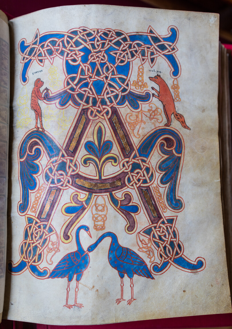 Initiale du manuscrit, à la fois alpha du commencement et première lettre d’Apocalypse, avec le singe à gauche, celui qui imite l’homme, symbole de l’énoncé vaniteux, et le renard à droite, désignant le mensonge.