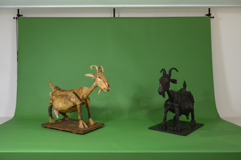 Sous les toits de l’hôtel Salé, le bestiaire de Picasso tient une grande place, à l’image de ces deux chèvres, l’une en plâtre, l’autre en bronze, de 1950.